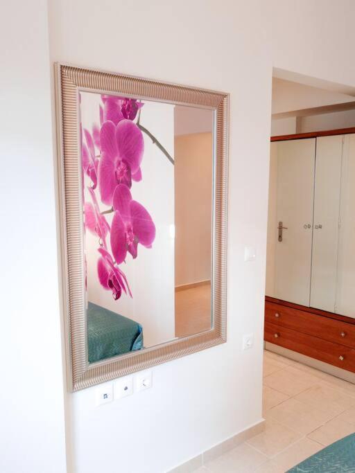 Orchid Apartments Thermi Room photo